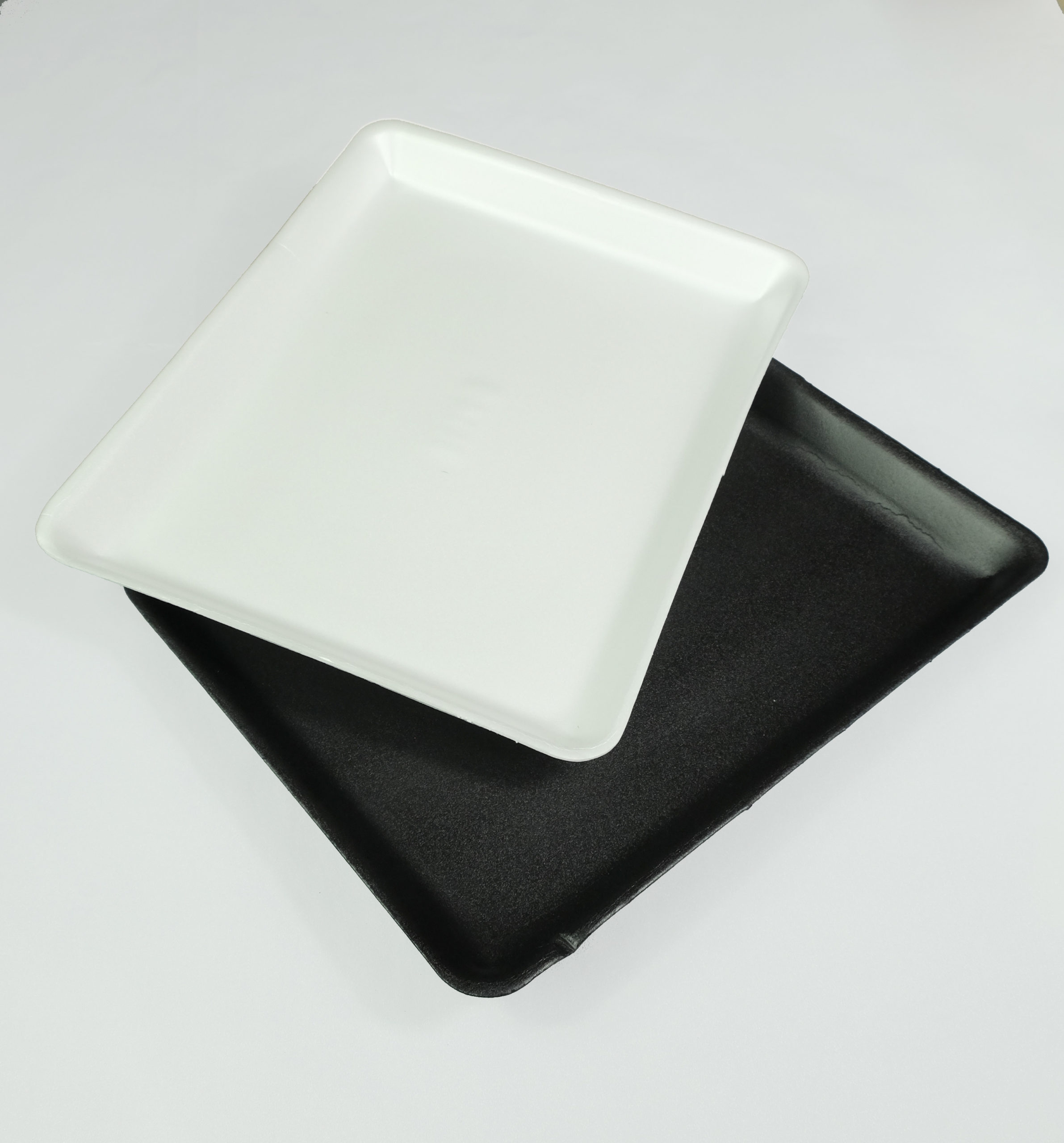 Foam Catering Tray