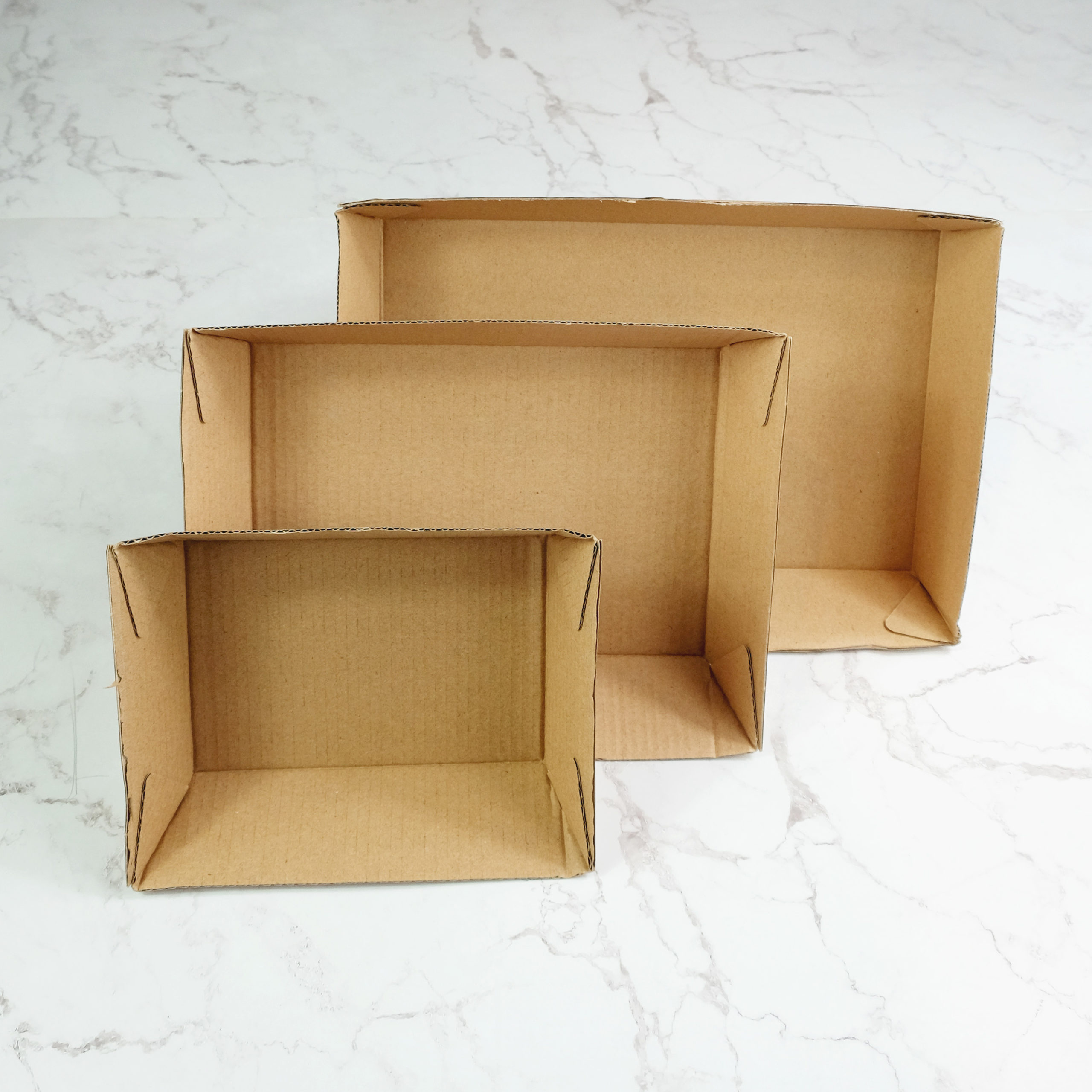 Kraft Corrugated Paper Food Trays