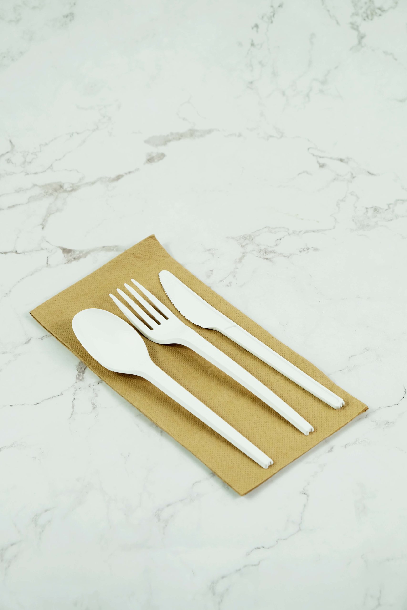 PLA Biodegradable Cutlery