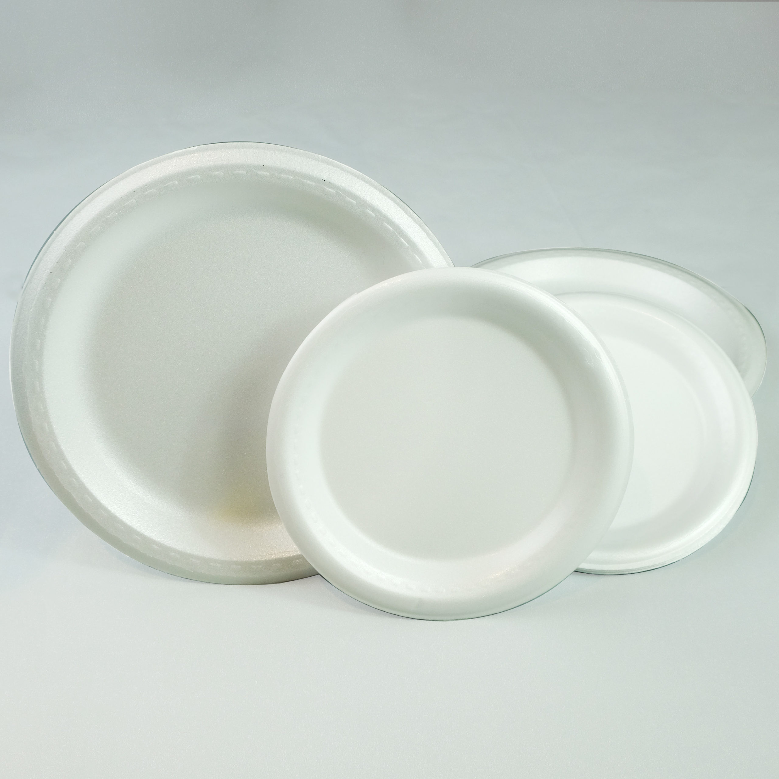 Foam Plate