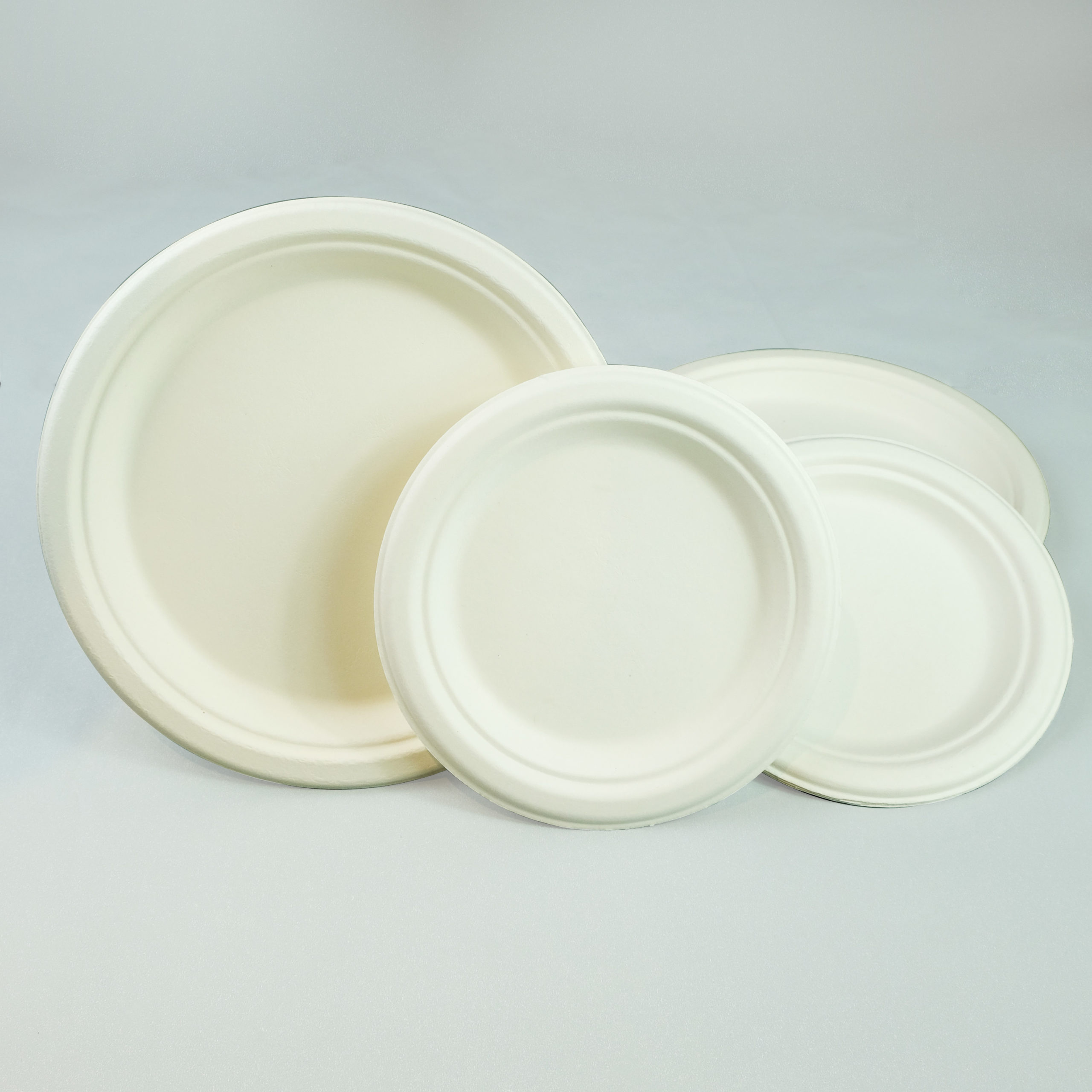 Sugarcane Plate