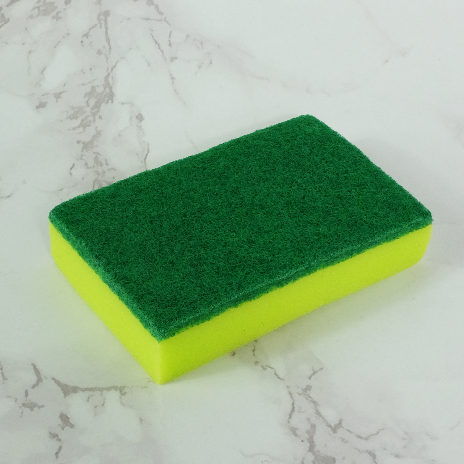 Green and Gold Sponge Scourer