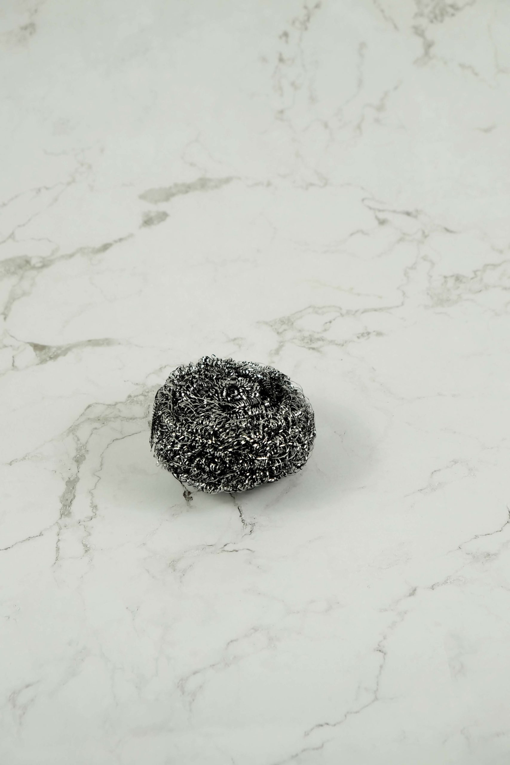 Stainless Steel Scourer