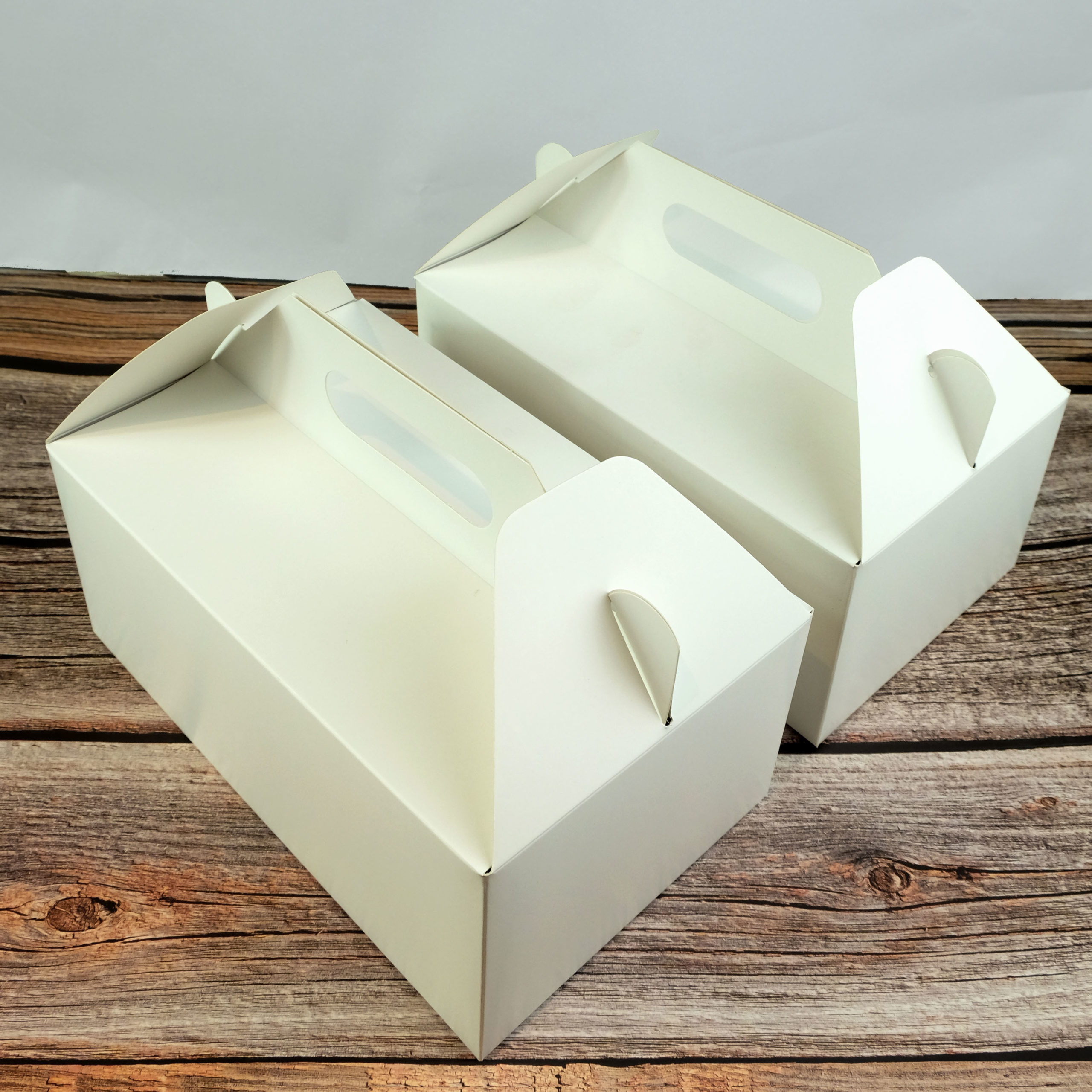 Takeaway Boxes